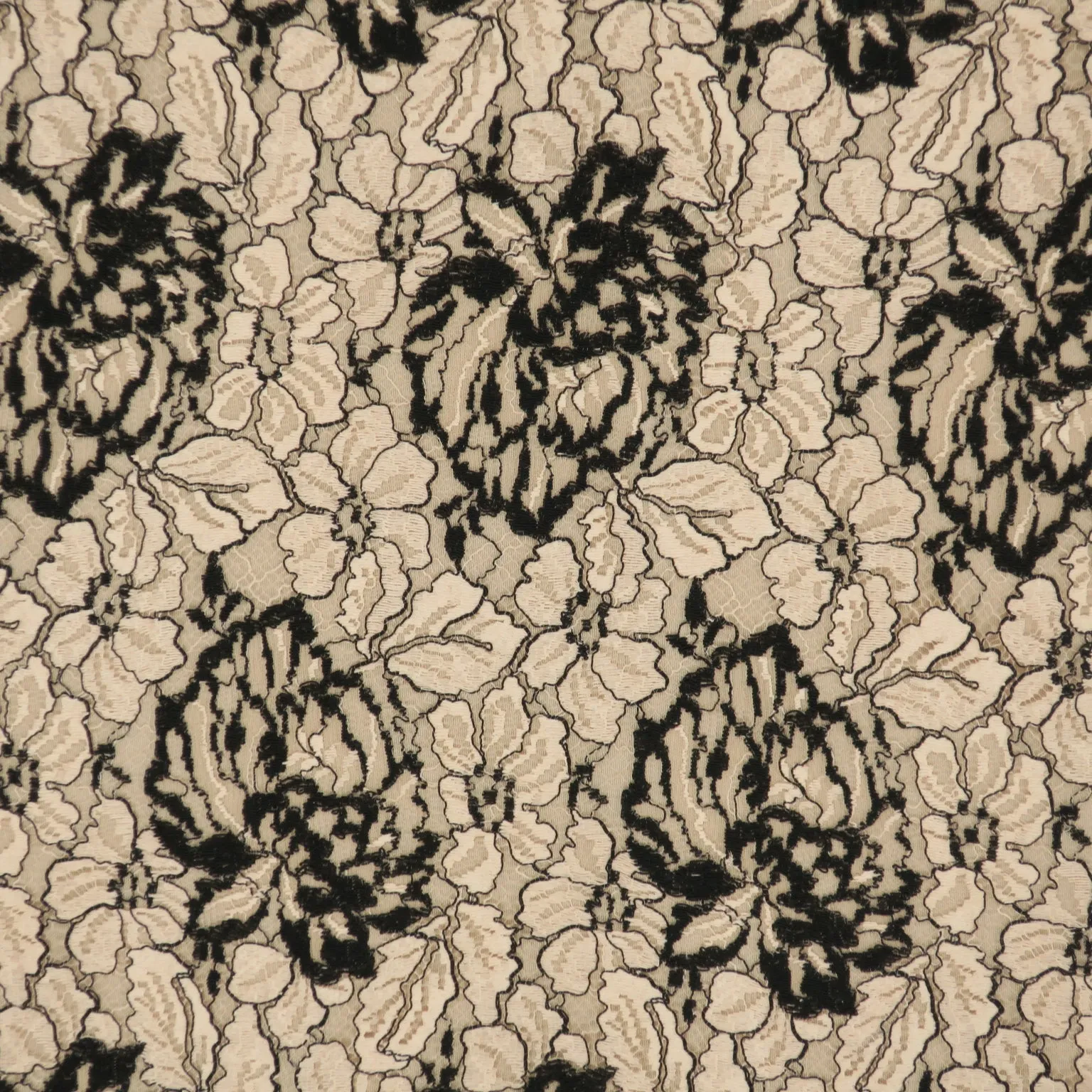 Beige and Black Corded Embroidered Lace Fabric