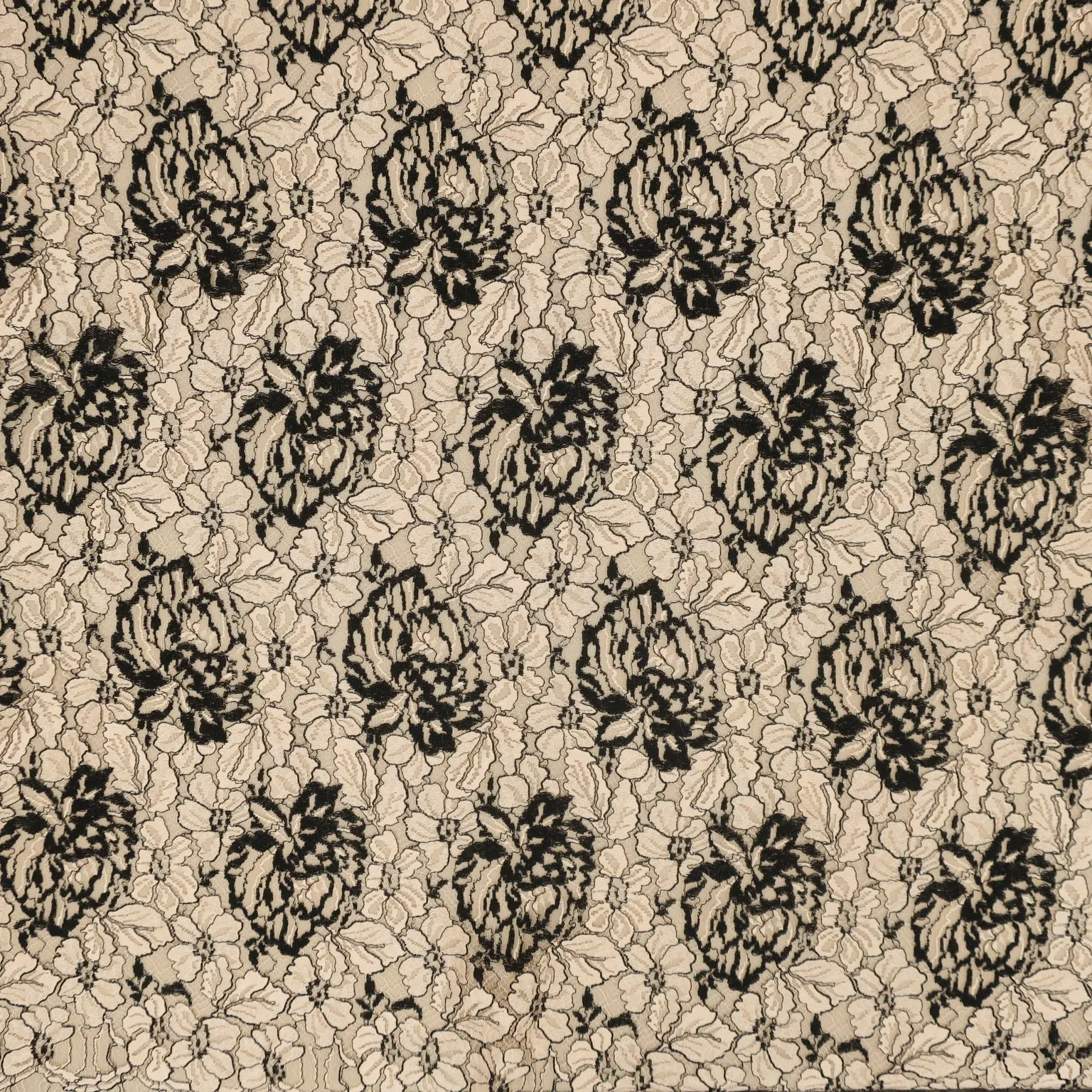 Beige and Black Corded Embroidered Lace Fabric